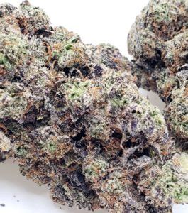 truffle devil strain.